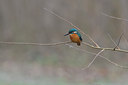 BUITEN BEELD Foto: 16711