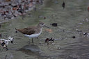 BUITEN BEELD Foto: 16775