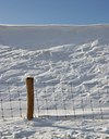 BUITEN BEELD Foto: 16777