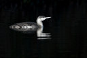 BUITEN BEELD Foto: 16810