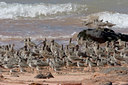 BUITEN BEELD Foto: 16877