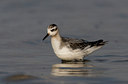 BUITEN BEELD Foto: 16938