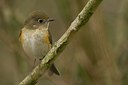 BUITEN BEELD Foto: 16959