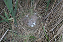 BUITEN BEELD Foto: 16986