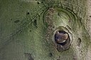 BUITEN BEELD Foto: 169067