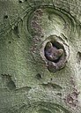 BUITEN BEELD Foto: 169068