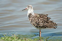 BUITEN BEELD Foto: 169071