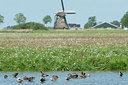 BUITEN BEELD Foto: 169076