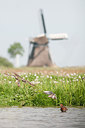 BUITEN BEELD Foto: 169085