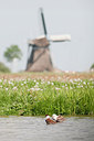BUITEN BEELD Foto: 169086
