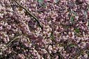 BUITEN BEELD Foto: 169205