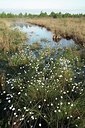 BUITEN BEELD Foto: 169216