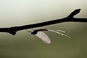 BUITEN BEELD Foto: 169217
