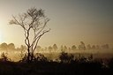 BUITEN BEELD Foto: 169242