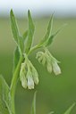 BUITEN BEELD Foto: 169274