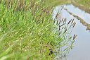 BUITEN BEELD Foto: 169278
