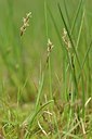 BUITEN BEELD Foto: 169309