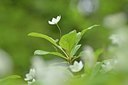 BUITEN BEELD Foto: 169321