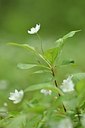 BUITEN BEELD Foto: 169322
