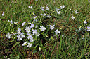 BUITEN BEELD Foto: 169326