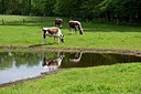 BUITEN BEELD Foto: 169346