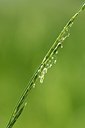 BUITEN BEELD Foto: 169352