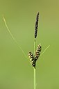 BUITEN BEELD Foto: 169368
