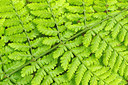 BUITEN BEELD Foto: 169389