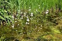 BUITEN BEELD Foto: 169394