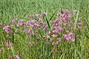 BUITEN BEELD Foto: 169398