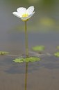 BUITEN BEELD Foto: 169429