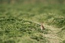BUITEN BEELD Foto: 169461