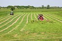 BUITEN BEELD Foto: 169483