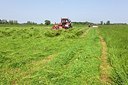 BUITEN BEELD Foto: 169497