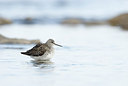 BUITEN BEELD Foto: 169533