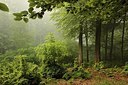 BUITEN BEELD Foto: 169566