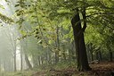 BUITEN BEELD Foto: 169570