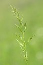 BUITEN BEELD Foto: 169628