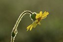 BUITEN BEELD Foto: 169667