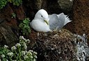 BUITEN BEELD Foto: 169691