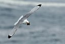 BUITEN BEELD Foto: 169694
