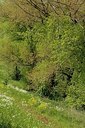 BUITEN BEELD Foto: 169706