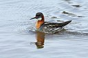 BUITEN BEELD Foto: 169717