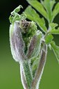 BUITEN BEELD Foto: 169732