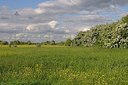 BUITEN BEELD Foto: 169738