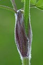 BUITEN BEELD Foto: 169771