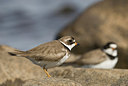 BUITEN BEELD Foto: 169814