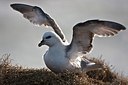 BUITEN BEELD Foto: 169881
