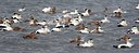 BUITEN BEELD Foto: 169898