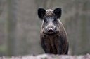 BUITEN BEELD Foto: 169938